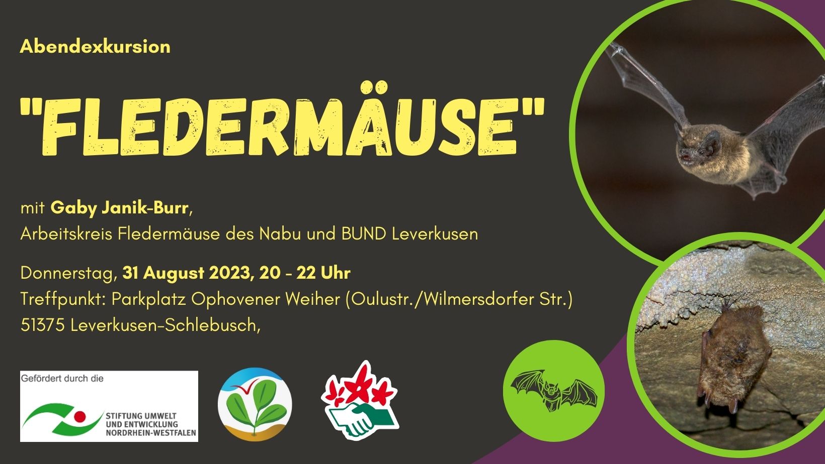 You are currently viewing Abendexkursion “Fledermäuse”