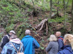 Mehr über den Artikel erfahren Wald im Wandel